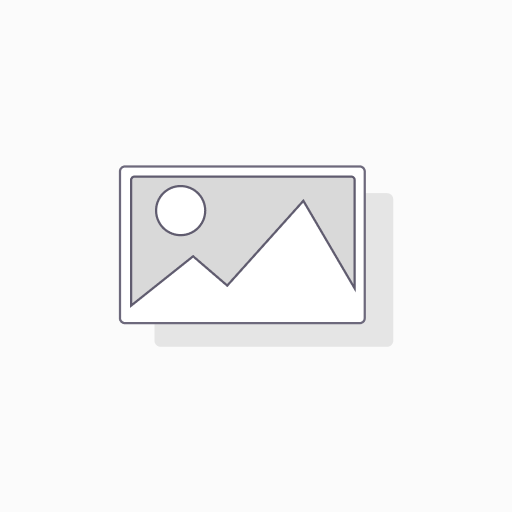 Development and configuration Services